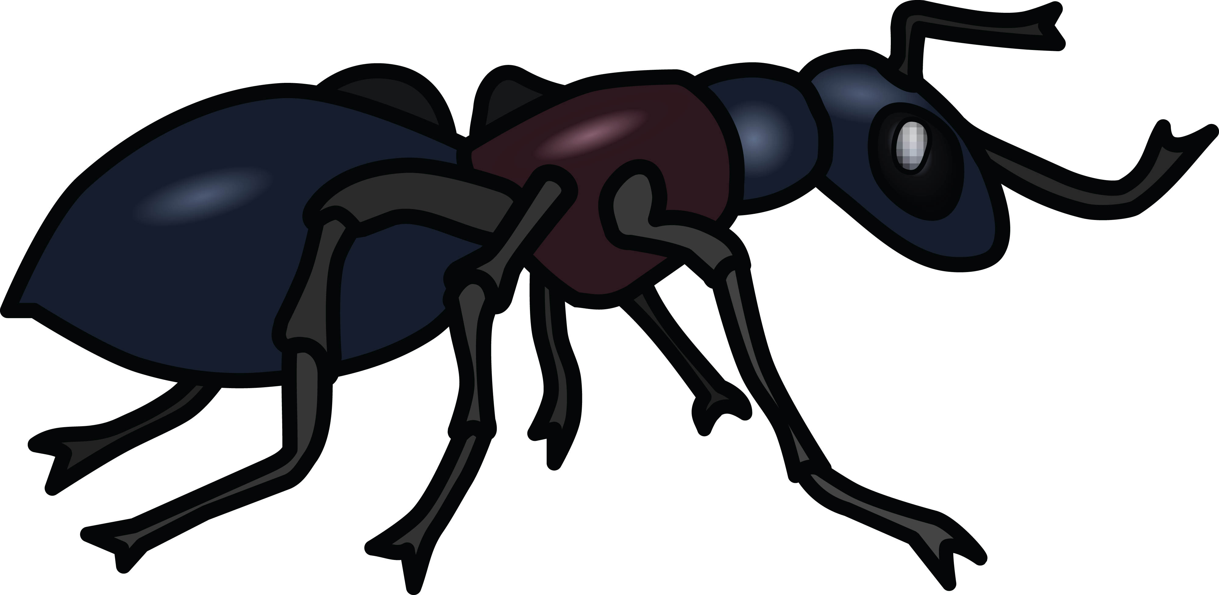 Free Clipart Of An Ant - Png Download (4000x1953), Png Download