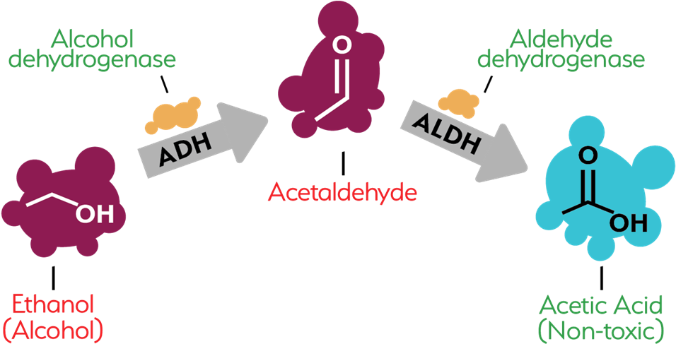 0 Replies 0 Retweets 0 Likes Clipart (1000x488), Png Download