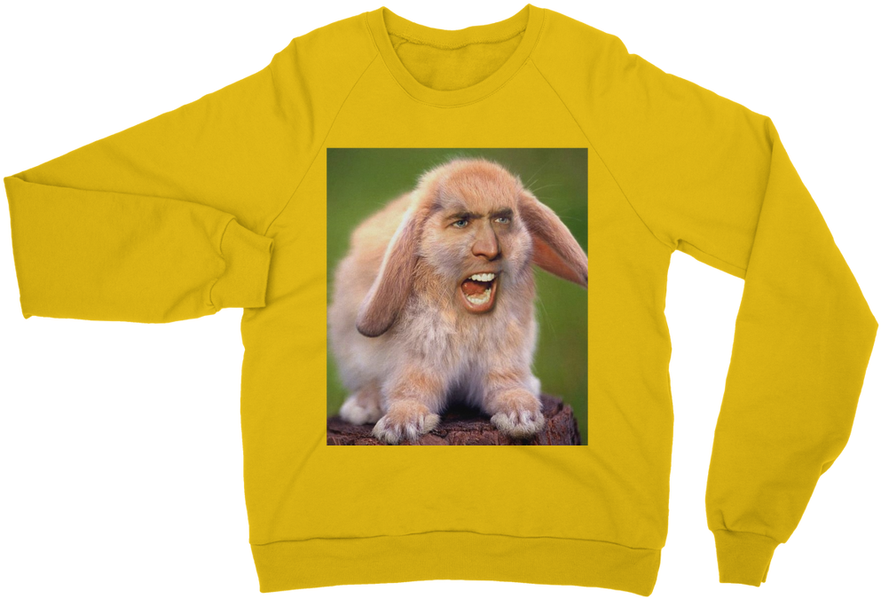 Nicolas Cage Orangutan Png Clipart (1024x1024), Png Download