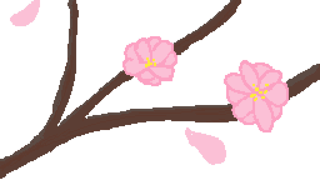 Cherry Blossoms Clipart (1024x576), Png Download