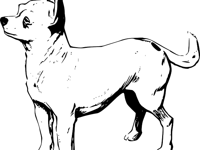 Drawn Chihuahua Black And White Clipart (640x480), Png Download
