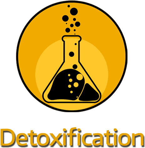 Liberation Chiropractic & Wellness Pc Clipart (600x600), Png Download