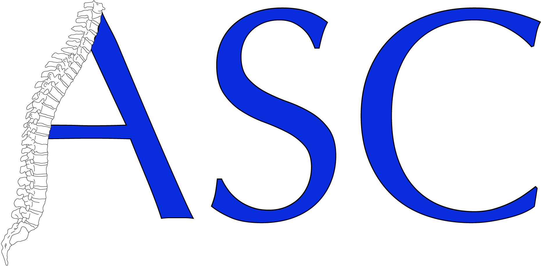 Austin Sports Chiropractic Clipart (1895x939), Png Download