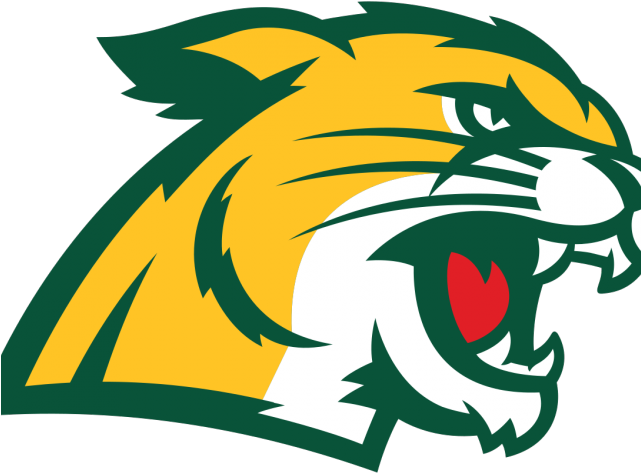 Wildcat Clipart Friendly - Png Download (640x480), Png Download