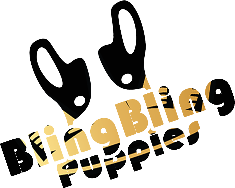 Tee Pee Clipart - Png Download (921x739), Png Download