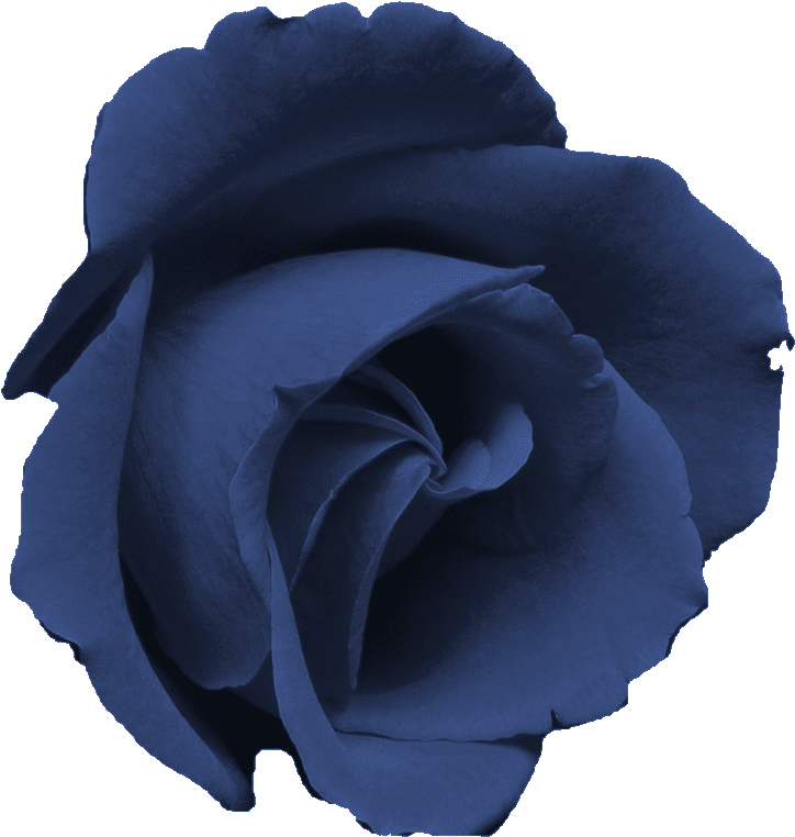 Sweetly Scrapped Free Flower Clip Art Images Flattened - Png Download (761x854), Png Download