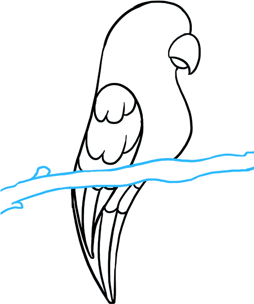 How To Draw Parrot Clipart (680x678), Png Download