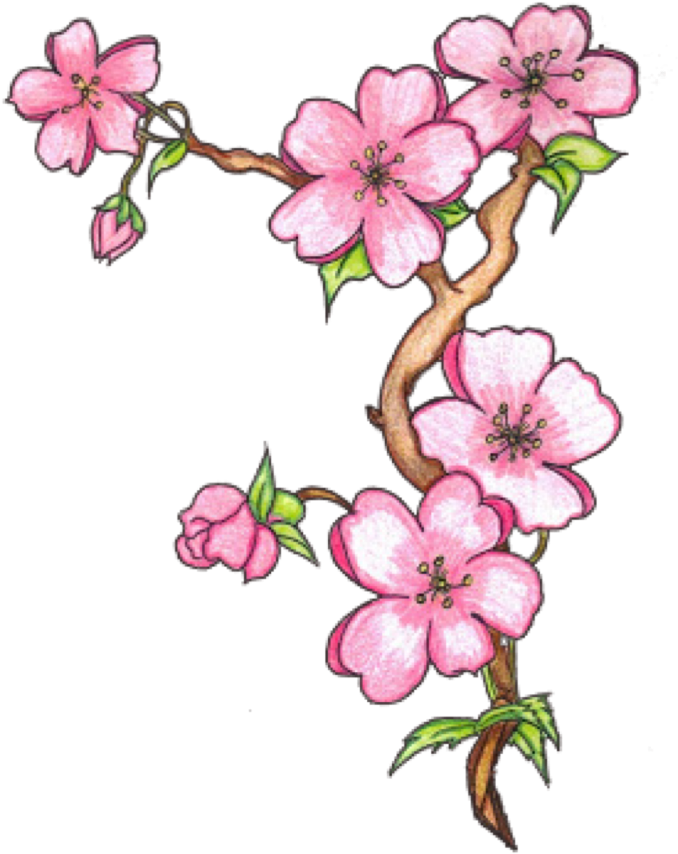 Sakura Sticker Clipart (1024x1204), Png Download