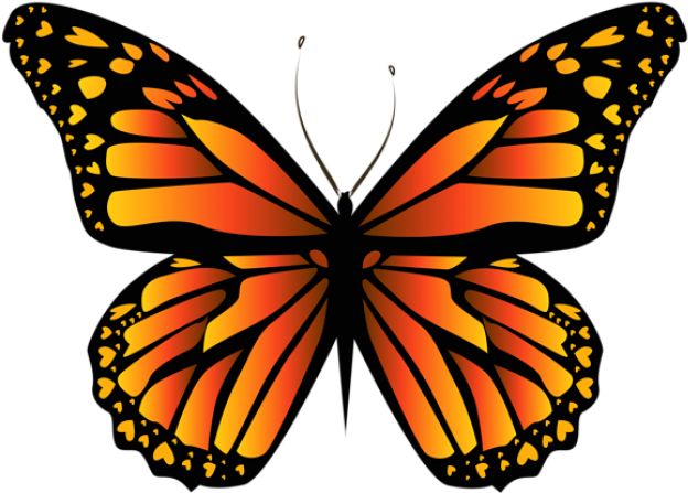 Monarch Butterfly Clipart Png Full Hd Transparent Png (640x480), Png Download