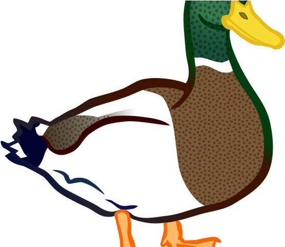Mallard Clipart Lake Animal - Png Download (640x480), Png Download