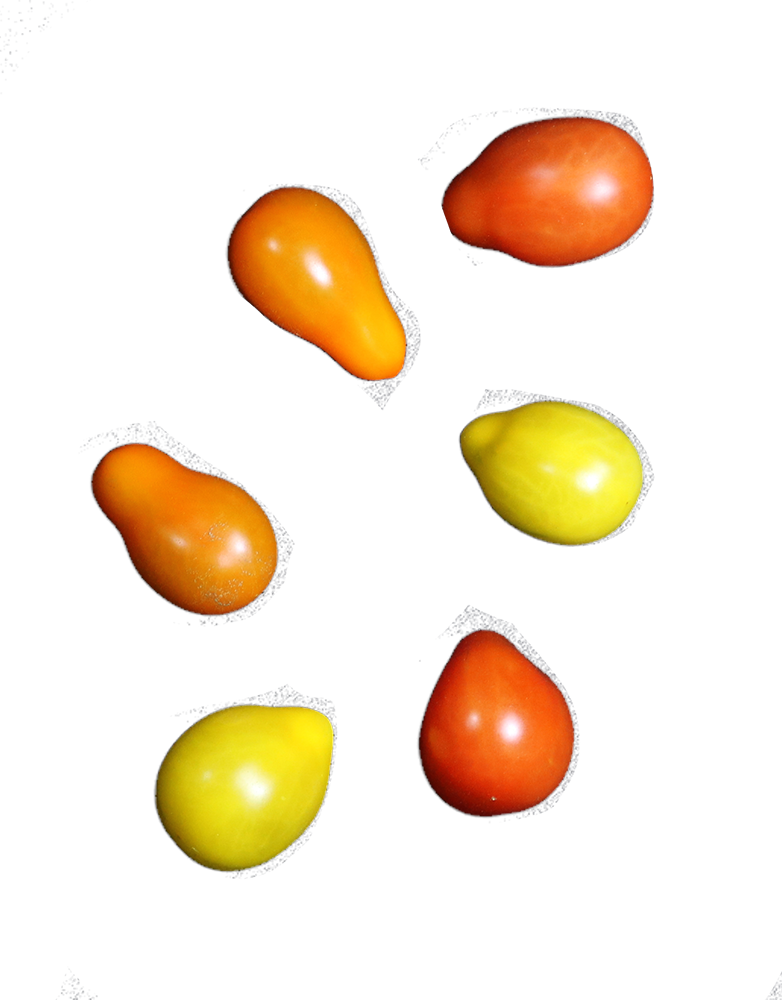 Eminent Cherry Teardrop Clipart (782x1000), Png Download