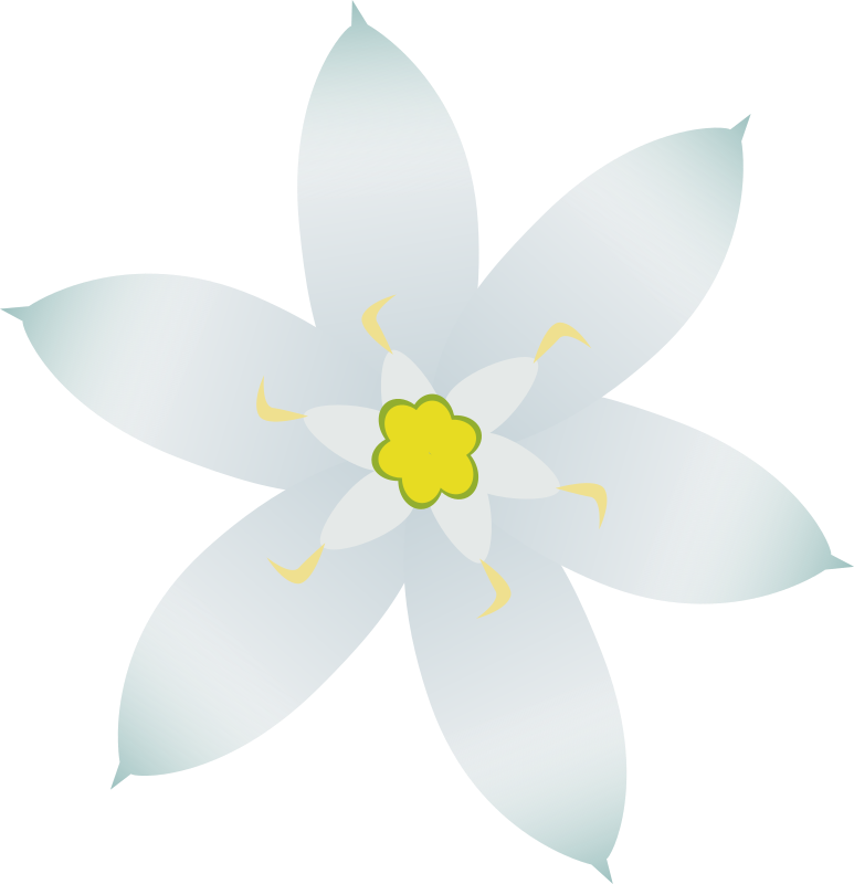Medium Image Clipart (773x800), Png Download