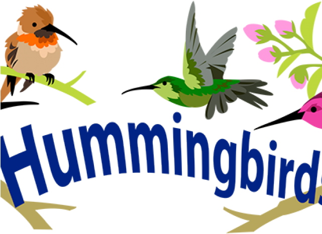 Hummingbird Clipart Native American - Png Download (640x480), Png Download