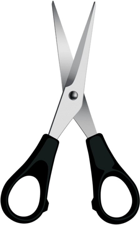 Download Scissors Clipart Png Photo Transparent Png (480x743), Png Download