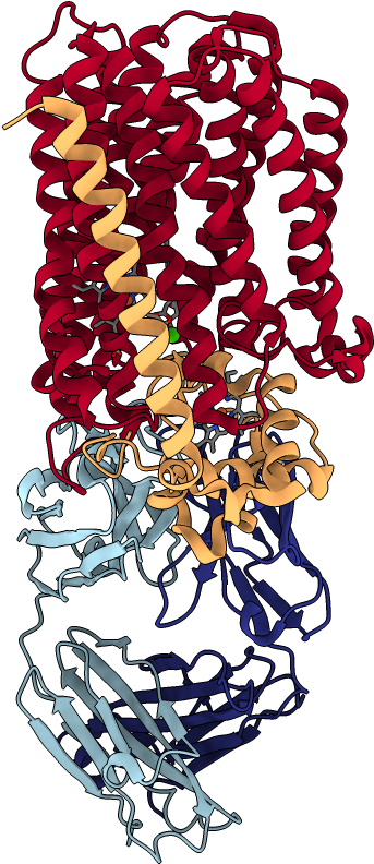 Chains Colored In Rainbow Clipart (1000x1000), Png Download