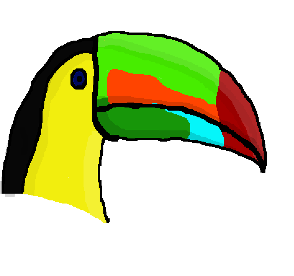 Toucan Clipart (1024x1024), Png Download