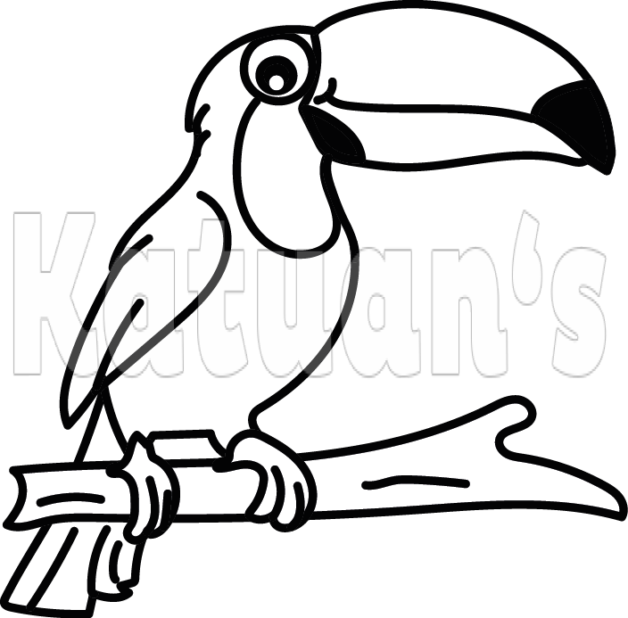 Toucan Clipart (704x693), Png Download