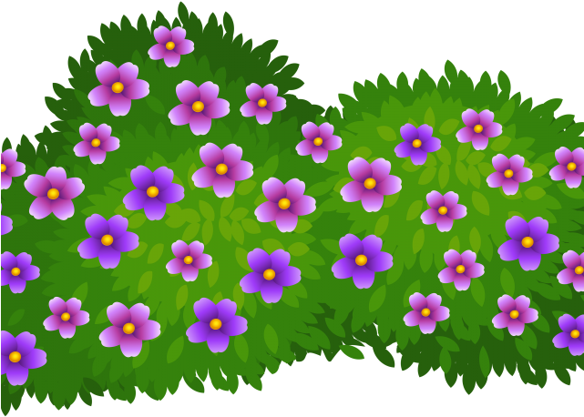 Daisy Clipart Wildflower - Bush Clipart Transparent Background - Png Download (640x480), Png Download