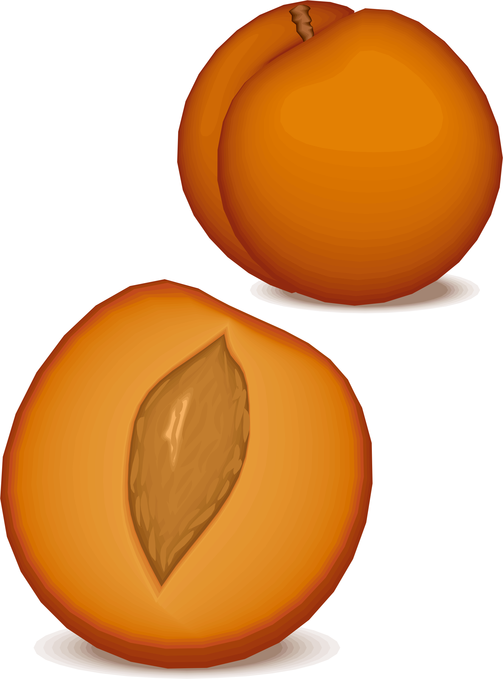 Big Image - Vector Clipart (1688x2281), Png Download