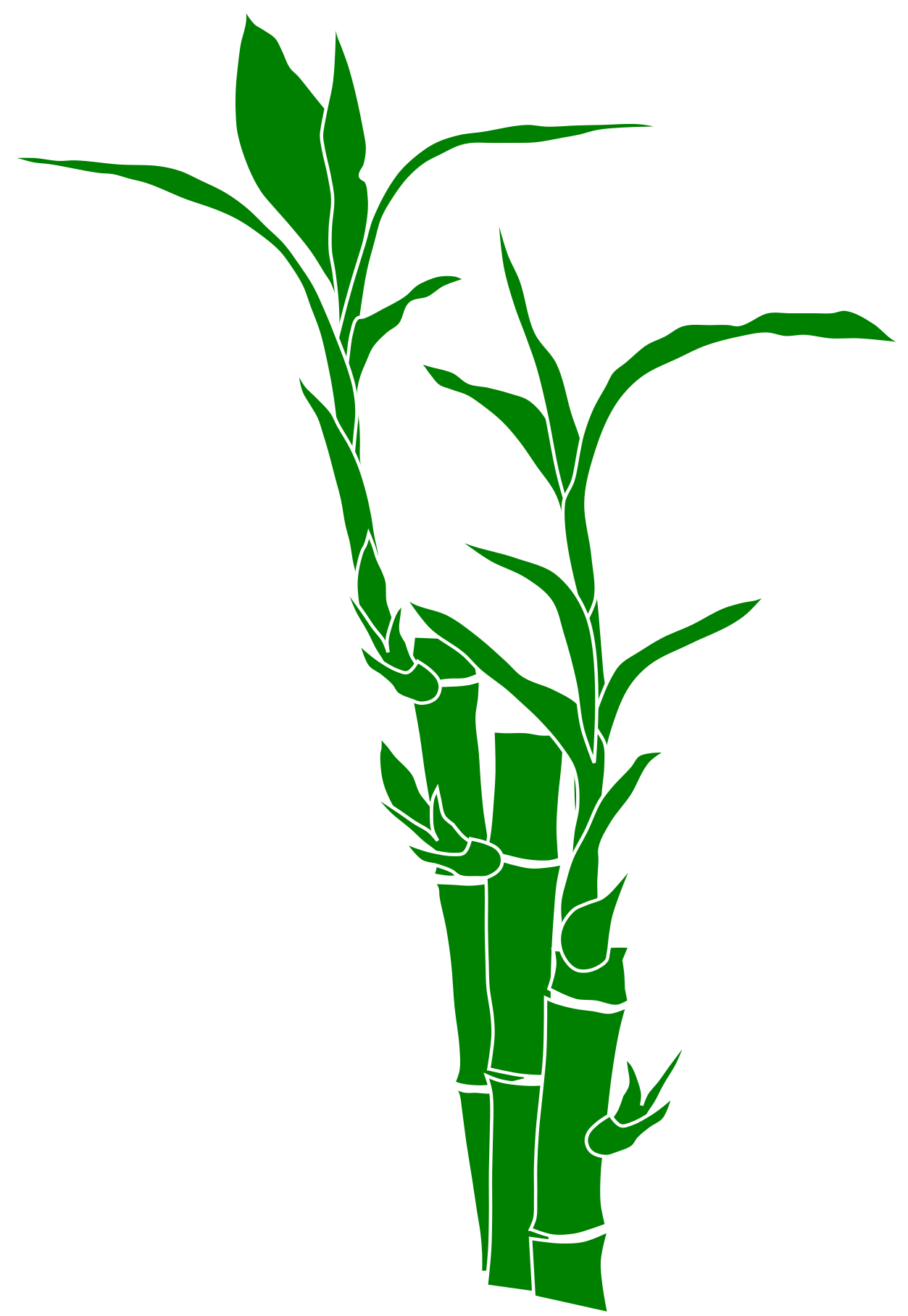 Big Image - Clipart Bamboo - Png Download (1697x2400), Png Download