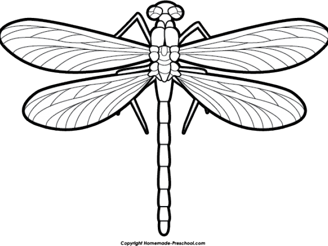 Dragonfly Clipart Scroll - Dragon Fly Black And White - Png Download (640x480), Png Download
