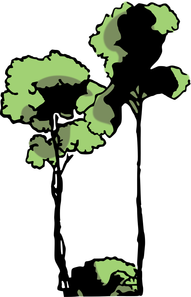 Edo Wood Clip Art - Arboles De La Selva Png Transparent Png (513x800), Png Download