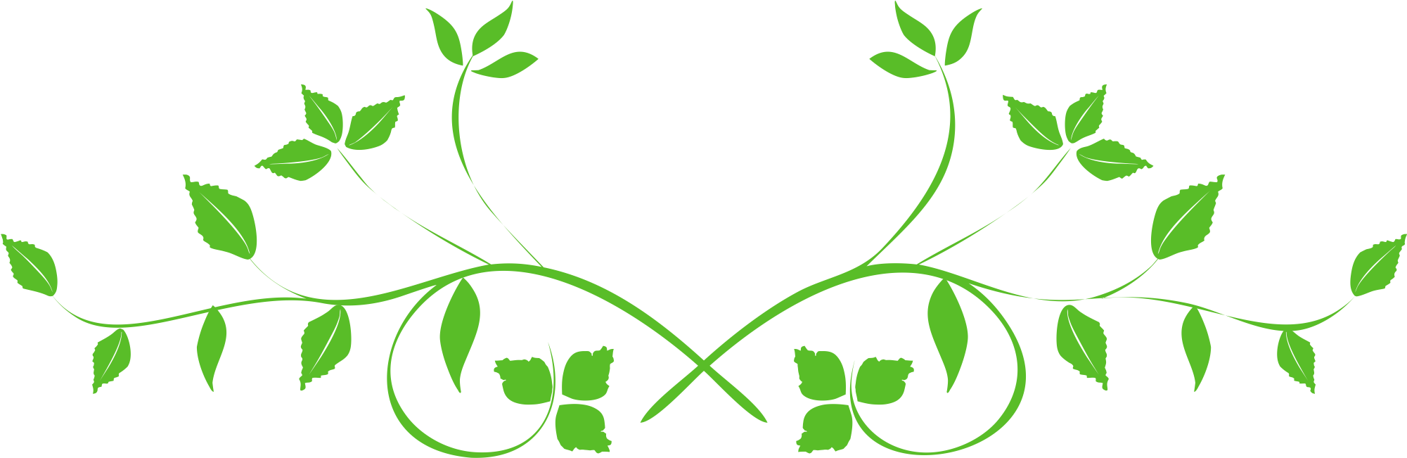 Leaf Clip Art Images Onclipart Leaves Png - Black Swirls Transparent Background (2105x731), Png Download