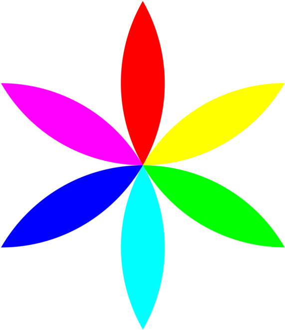All Photo Png Clipart - Flower Clip Art Colorful Transparent Png (750x750), Png Download