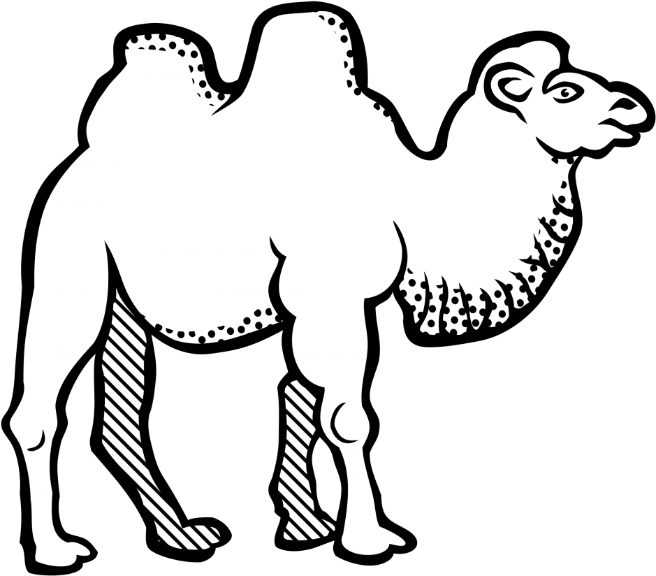Bactrian Camel Line Art Drawing Black And White Coloring - Arabic Letters For Colouring Clipart (848x750), Png Download