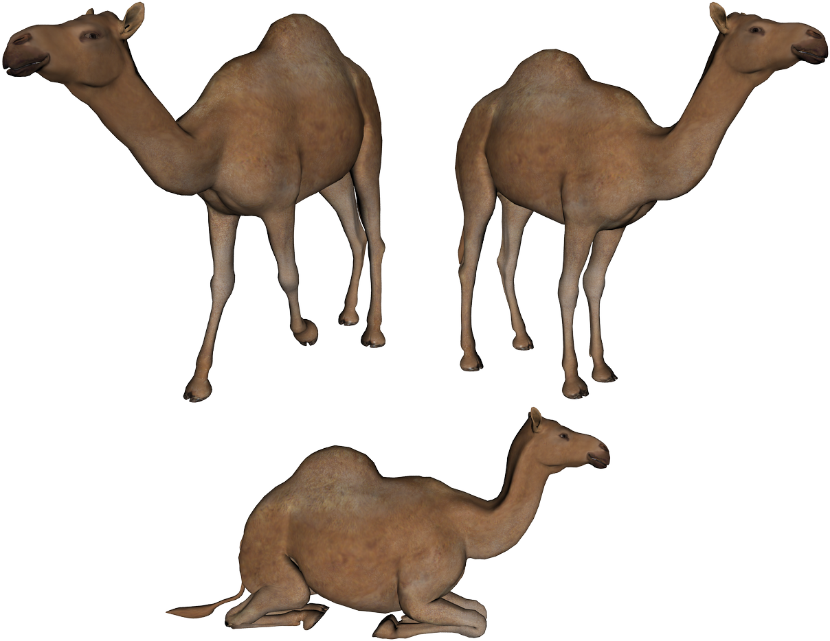 Camel - Youve Got Mail Windows Clipart (1208x934), Png Download