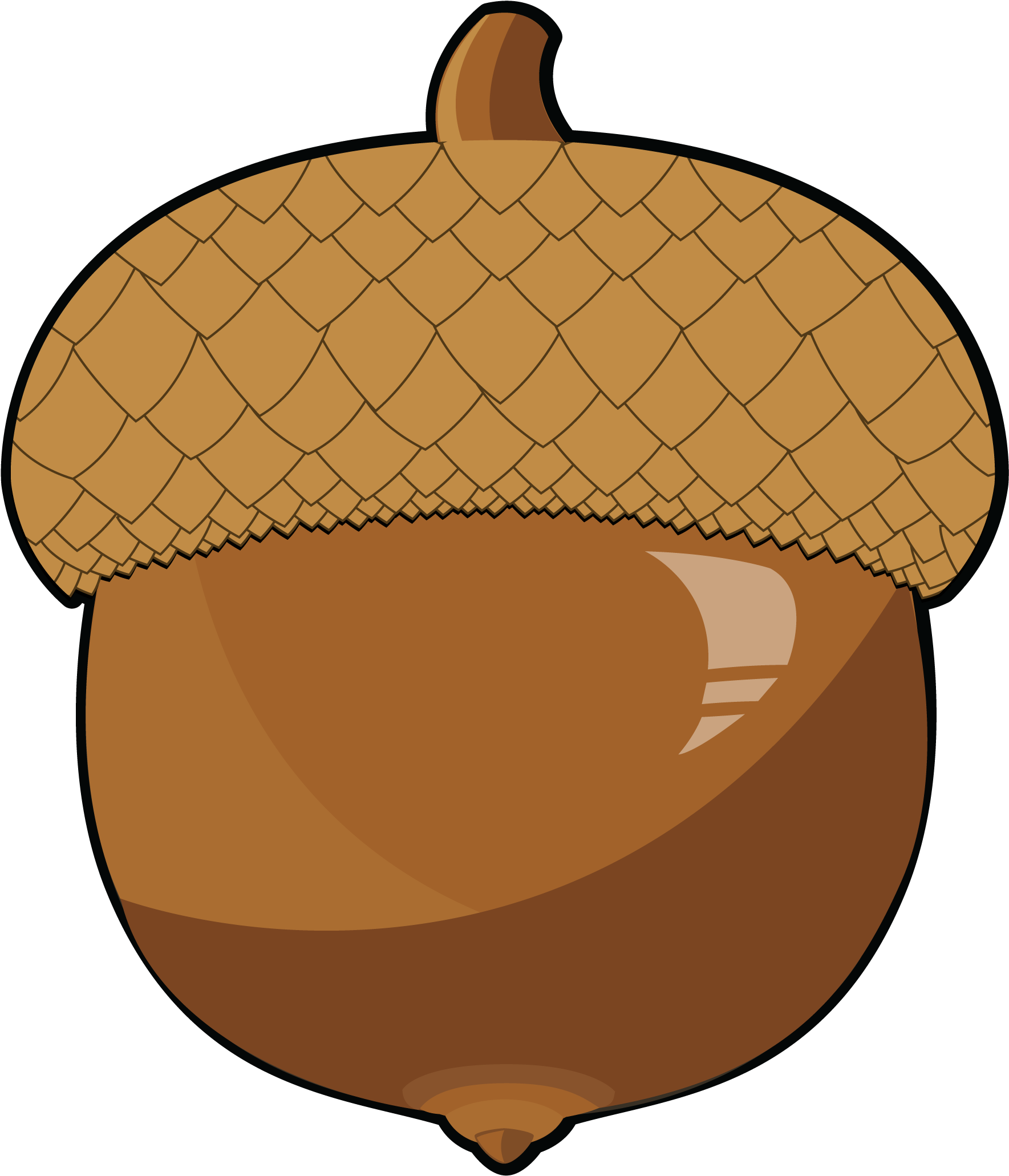 Acorn Clipart Food - Clipart Acorn - Png Download (2010x2064), Png Download