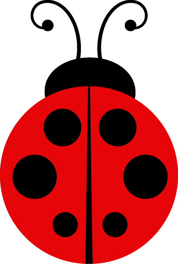 Minus Pink Ladybug, Ladybug Rocks, Ladybugs, Lady Bug - Dibujos De Vaquita De San Antonio Clipart (606x900), Png Download
