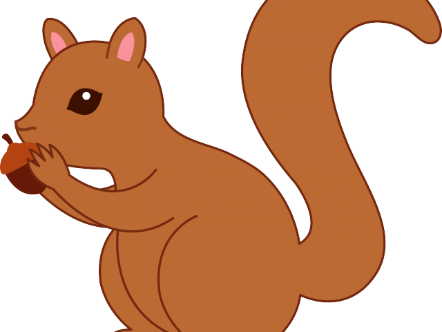 Gray Squirrel Clipart Thanksgiving - Squirrel Clipart Png Transparent Png (640x480), Png Download