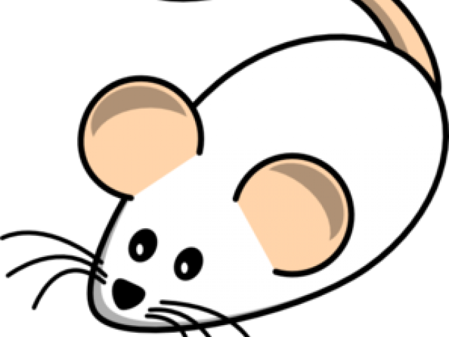 Mouse Clipart Nose - Clip Art - Png Download (640x480), Png Download