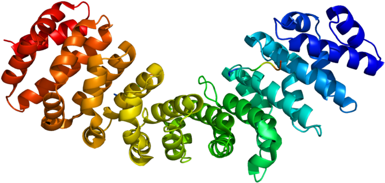 Cousin Clip Art - Png Download (800x399), Png Download