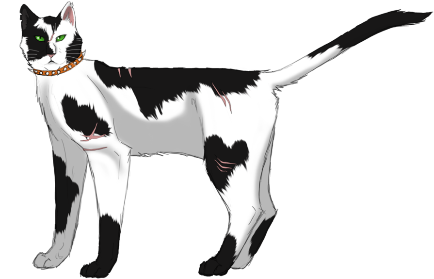 Bone Clipart (900x586), Png Download