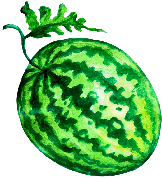 Watermelon Clipart (866x650), Png Download
