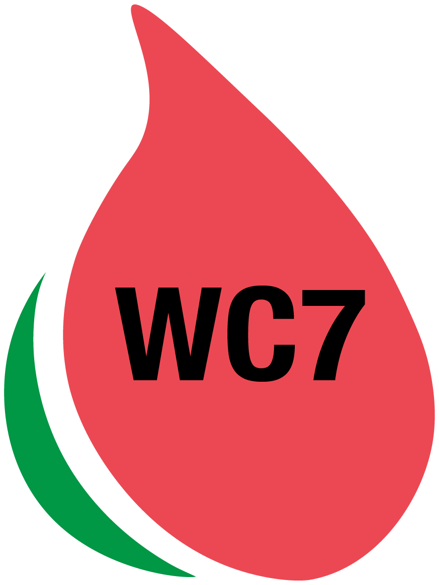Wc7 Watermelon Clipart (886x1180), Png Download