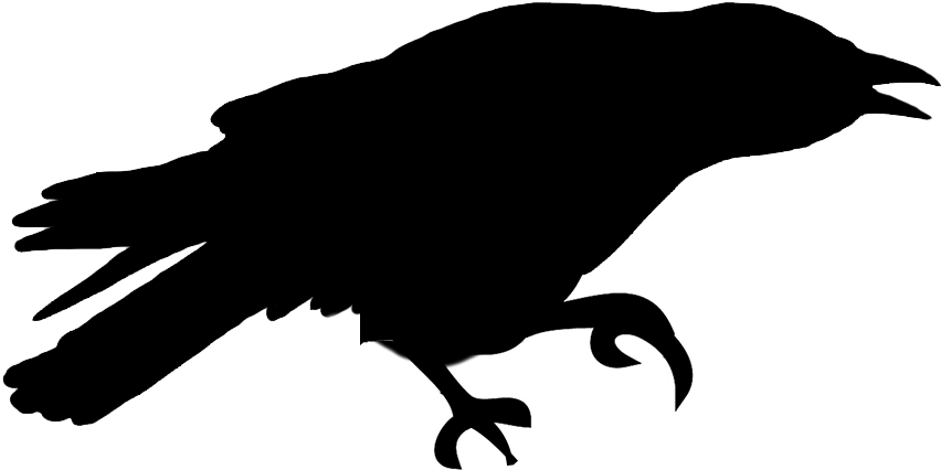 Free Png Download Sitting Bird Silhouette Png Images Clipart (850x425), Png Download