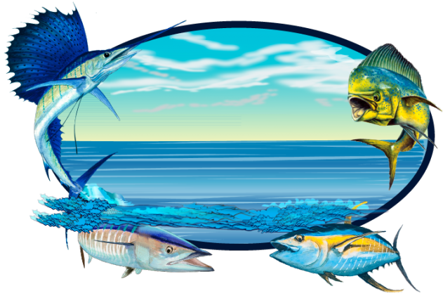 Sailfish Clipart Wahoo - Png Download (640x480), Png Download