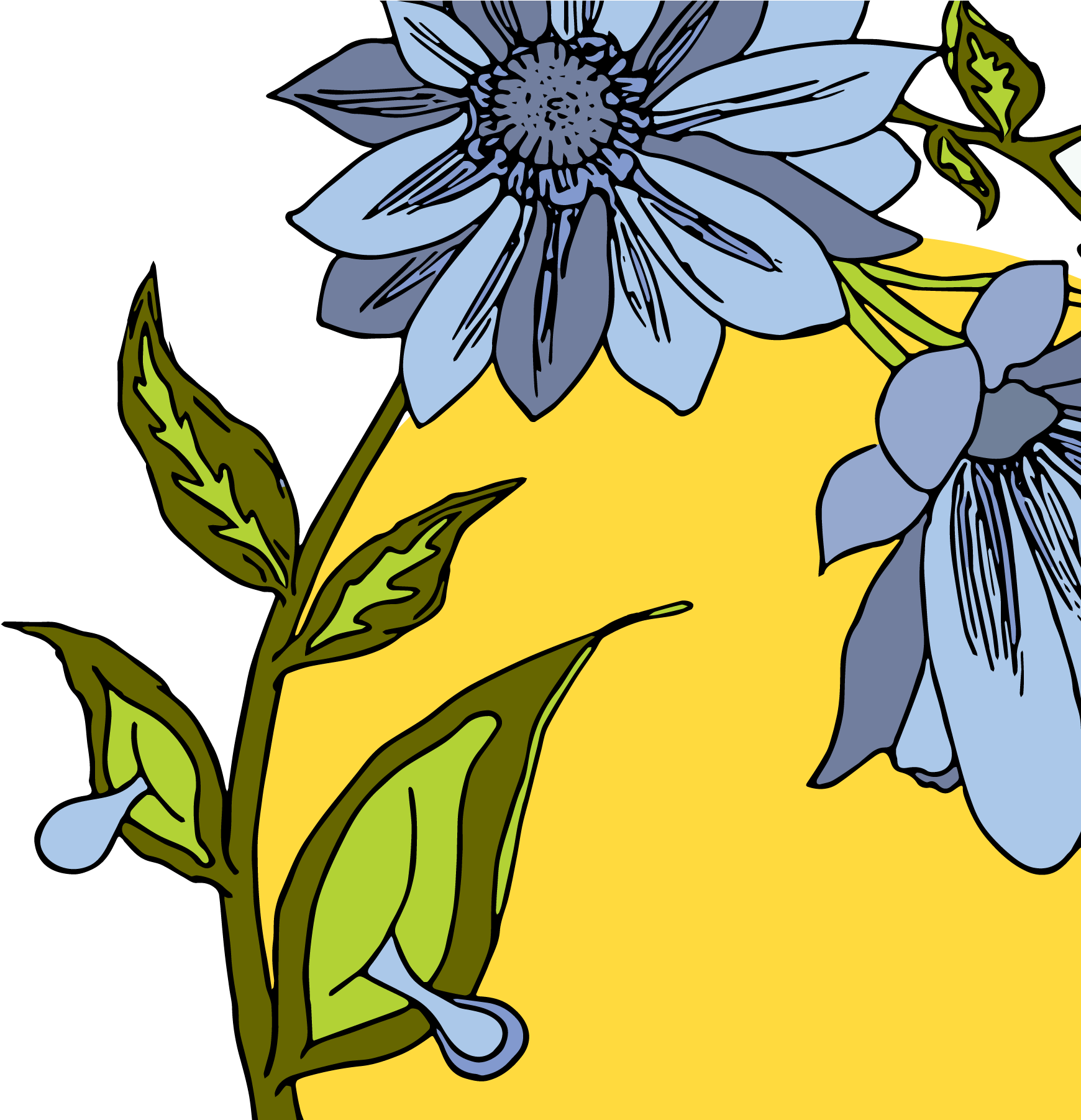 Event Posters Clipart (1801x1801), Png Download
