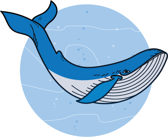 Clipart Whale Marine Ecosystem - Png Download (1000x735), Png Download
