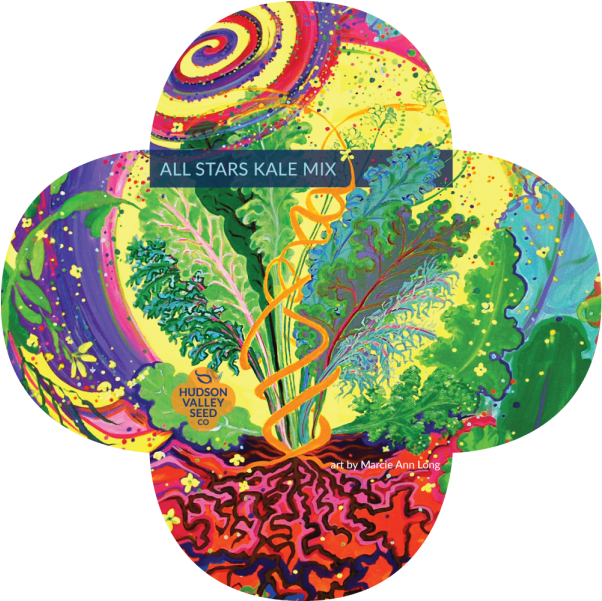 Kale Clipart Mustard Vegetable - Png Download (800x600), Png Download