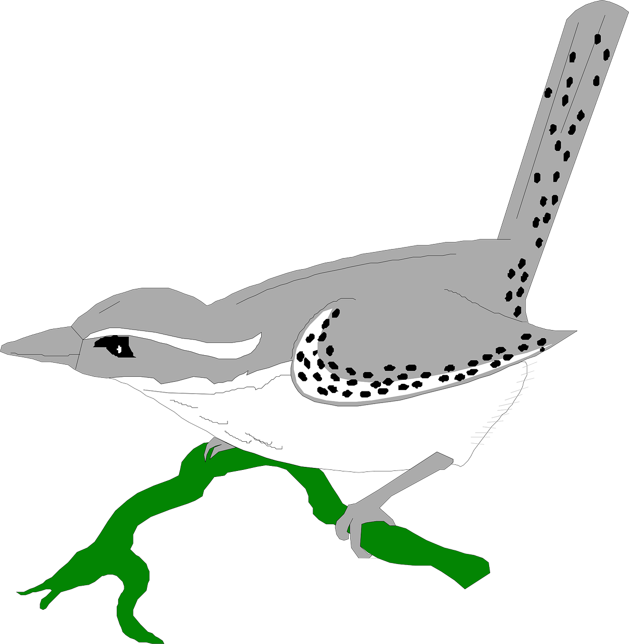 Bird Animal Wren Clipart (1250x1280), Png Download