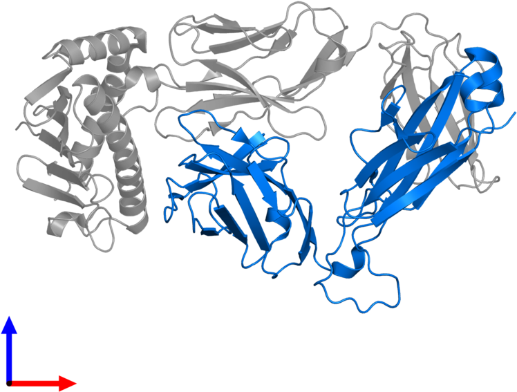 <div Class='caption-body'>pdb Entry 4nhu Contains 1 Clipart (800x800), Png Download