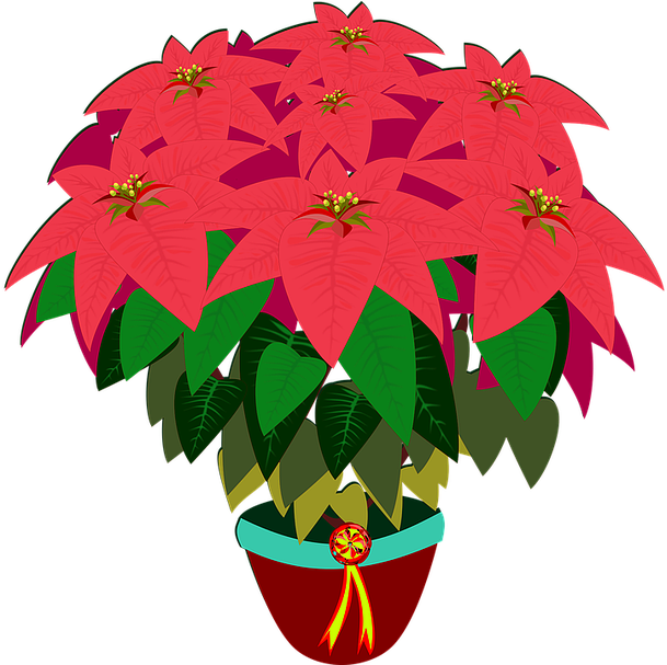 Free Photo Flora Flower Flor Nature Bico De Papagaio Clipart (640x606), Png Download