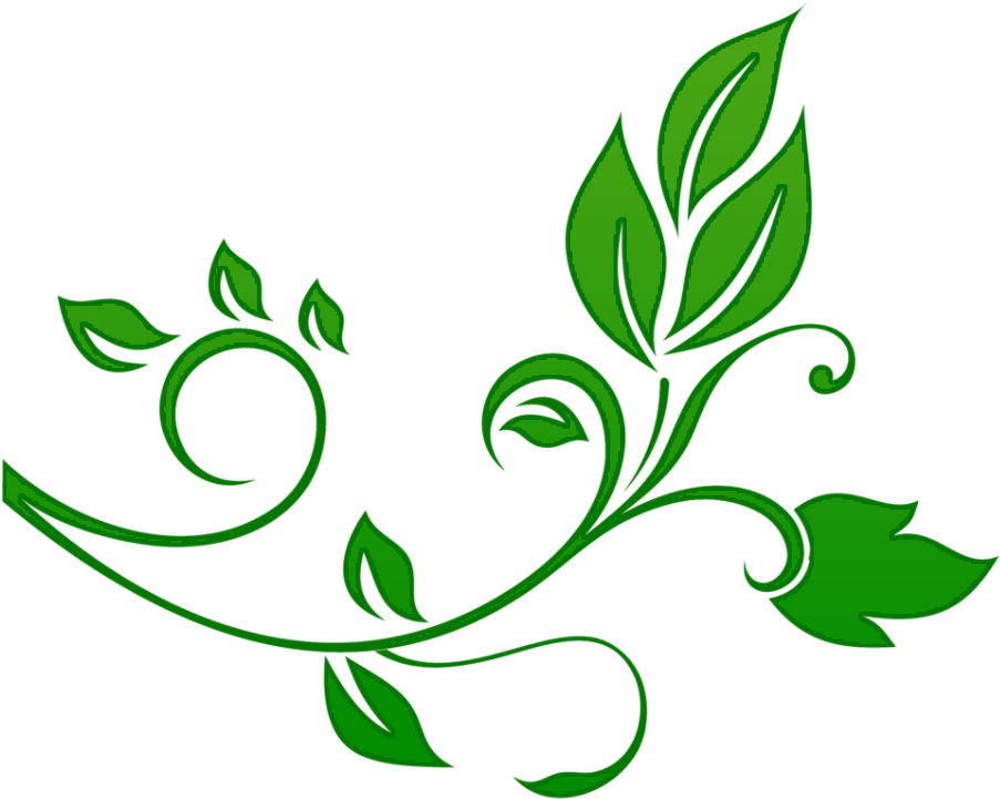 Floral Png Download Image Clipart (1024x768), Png Download