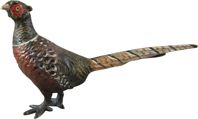 Pheasant Transparent Background Clipart (795x795), Png Download