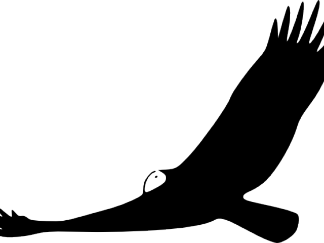 Drawn Turkey Vulture Transparent Clipart (640x480), Png Download