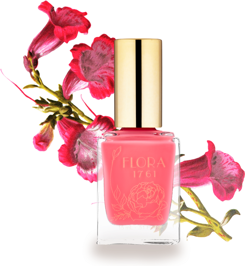 Nail Lacquer In Bougainvillea Clipart (1024x922), Png Download